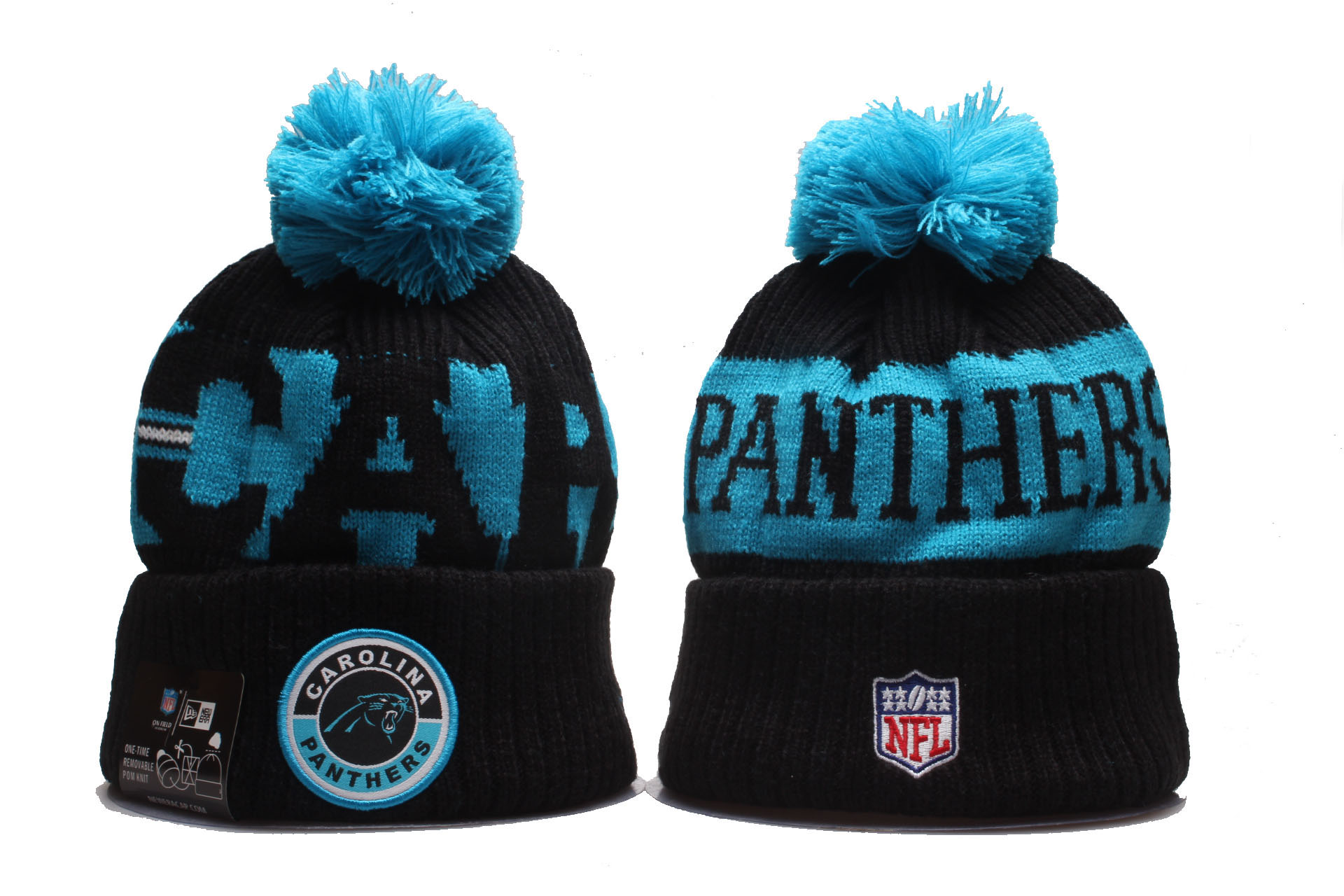 2020 NFL CAROLINA PANTHERS 01